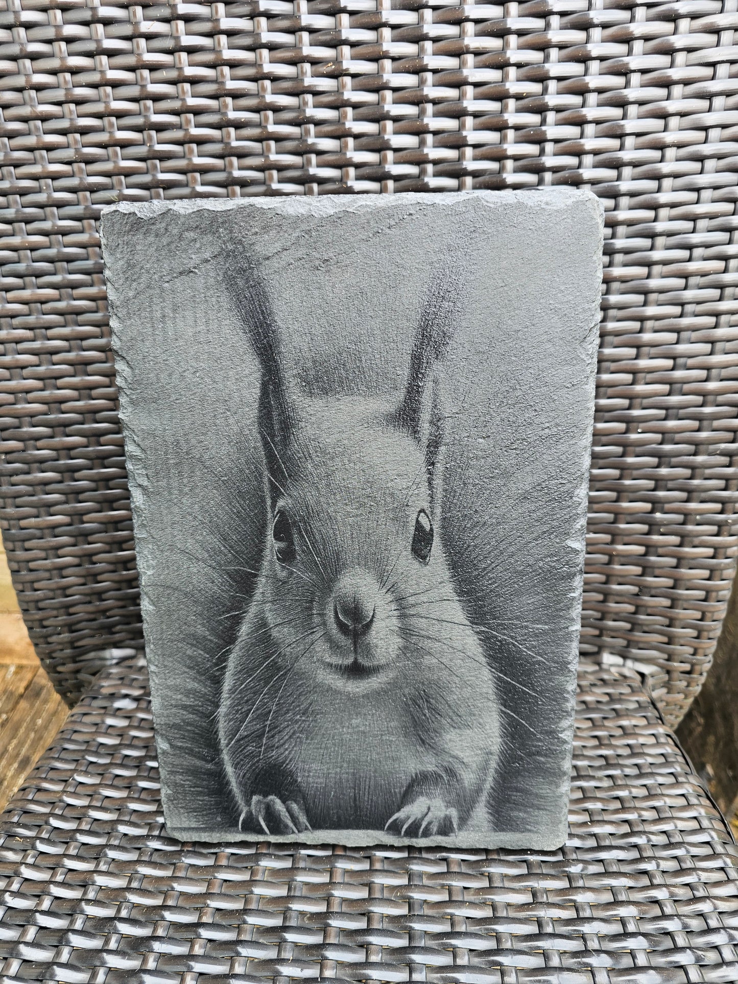 slate Laser Engraved Squirrel Art – Wildlife Wall Plaque (30x20cm)