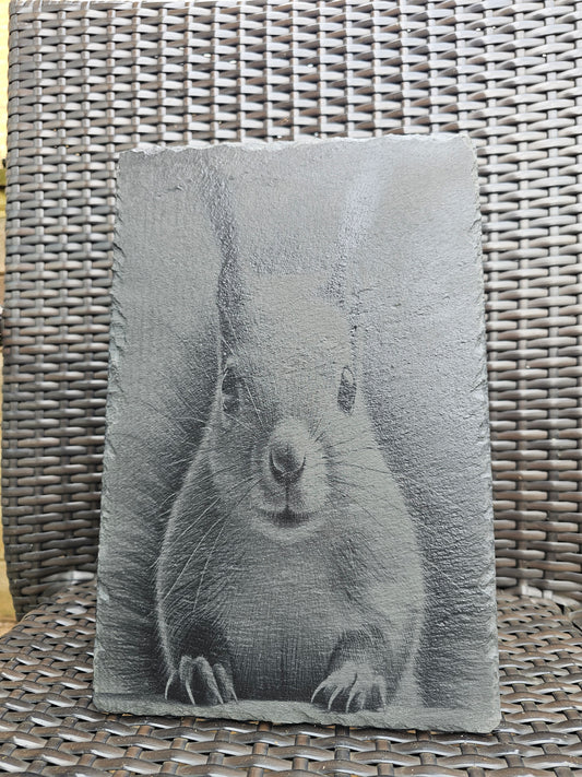 slate Laser Engraved Squirrel Art – Wildlife Wall Plaque (30x20cm)