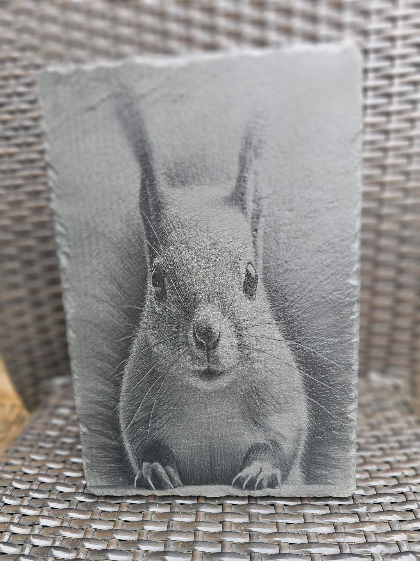 slate Laser Engraved Squirrel Art – Wildlife Wall Plaque (30x20cm)