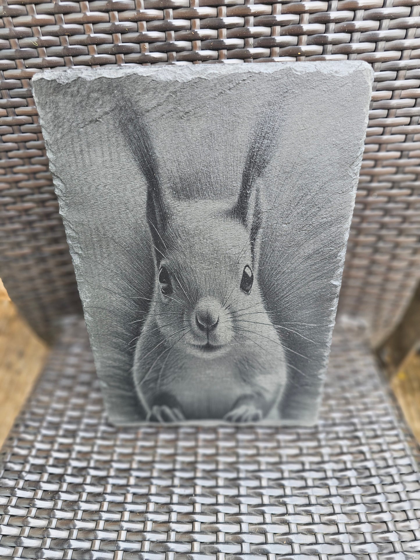 slate Laser Engraved Squirrel Art – Wildlife Wall Plaque (30x20cm)