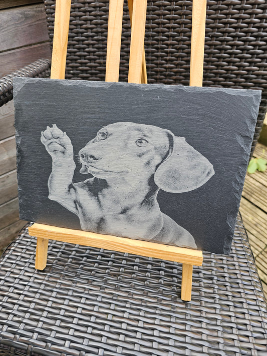 Slate Plaque 30cm x 20cm Laser Engraved Dachshund Dog – Handmade UK