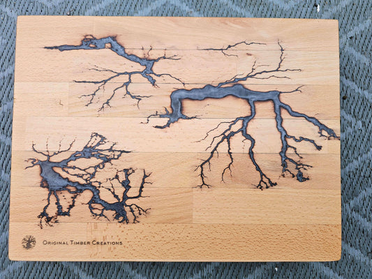 chopping board Fractal Burned Wood Board | Handmade Lichtenberg Art