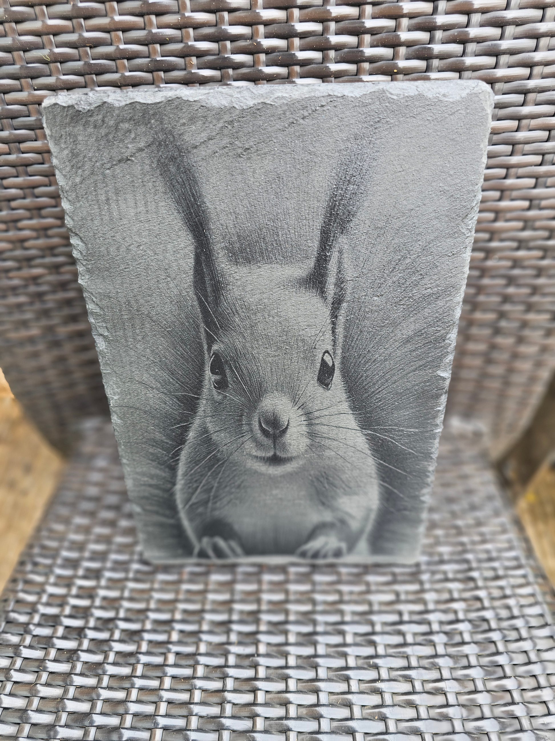 slate Laser Engraved Squirrel Art – Wildlife Wall Plaque (30x20cm)