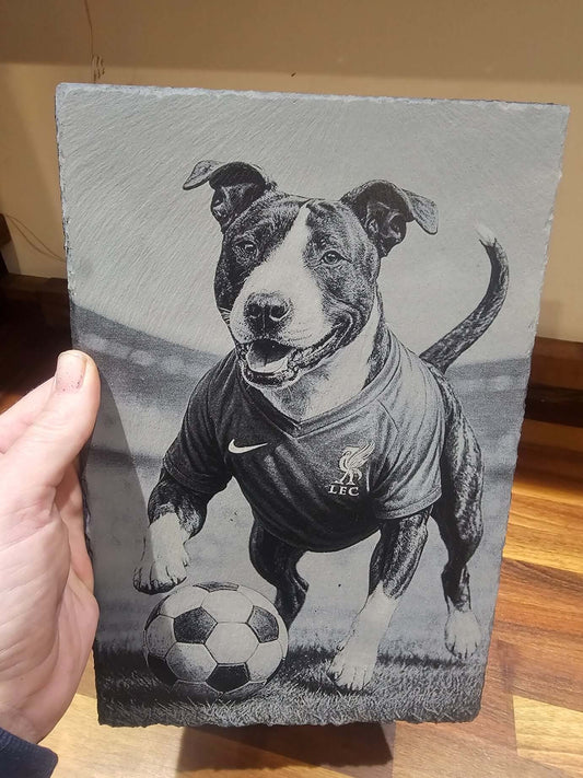 Slate Plaque Personalised Pet Football – 30cm x 20cm Custom Engraved