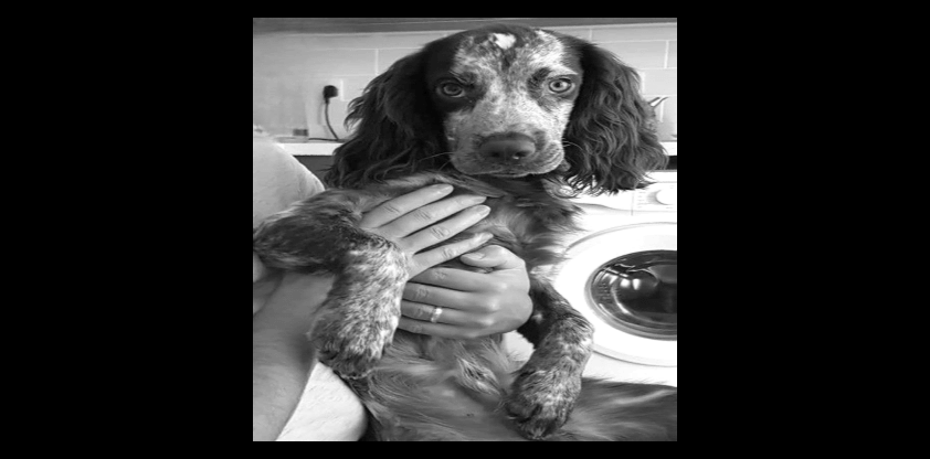 personalised order for steph